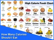 How Many Calories Should I Eat A Day